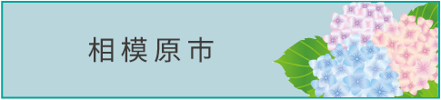 相模原市