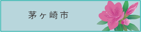 茅ヶ崎市